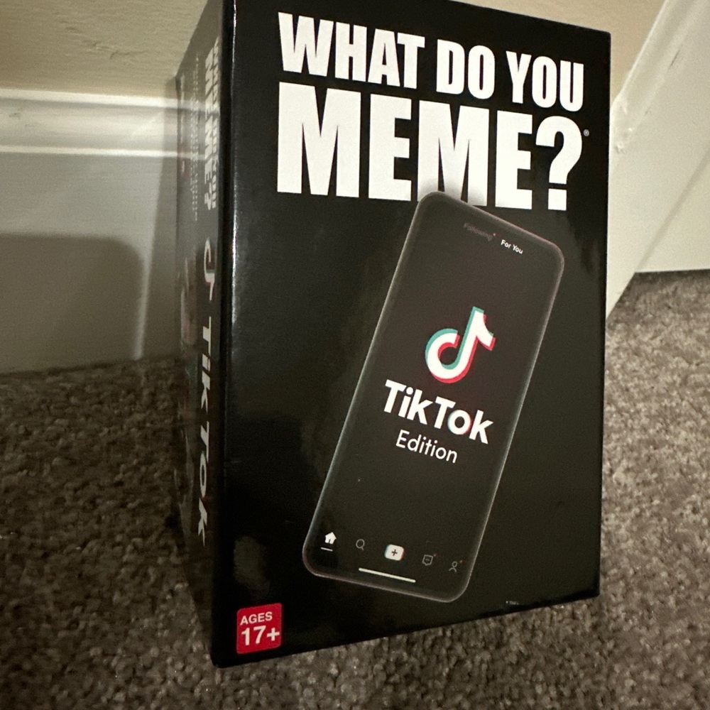 What Do You MEME TikTok Version